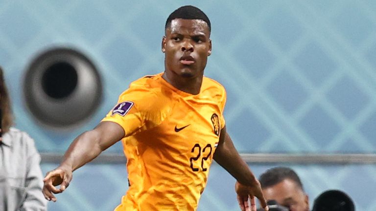 Denzel Dumfries celebrates after scoring for Netherlands against USA