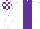 Silk - WHITE, purple panel, check cap Silk - WHITE, purple panel, check cap